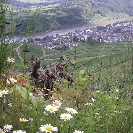 Weingut Bernd Hermes Krov Exterior photo