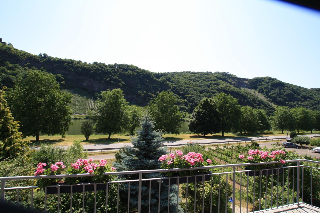 Weingut Bernd Hermes Apartment *