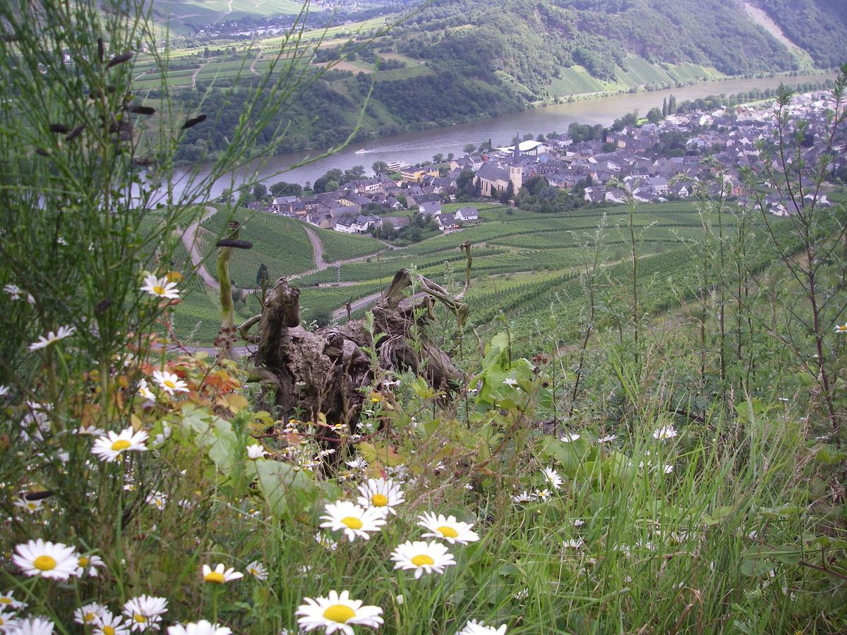 Weingut Bernd Hermes Apartment Krov